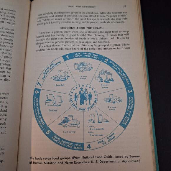 The American National Red Cross Home Nursing Textbook 1950 235 pages - Picture 7 of 8